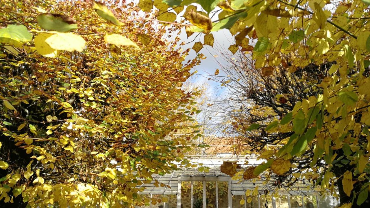 Chateau De Brinville Saint-Sauveur-sur-Ecole Exterior foto